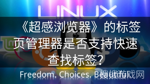 《超感浏览器》的标签页管理器是否支持快速查找标签？