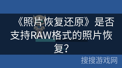 《照片恢复还原》是否支持RAW格式的照片恢复？