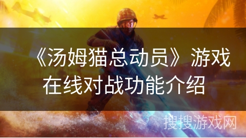 《汤姆猫总动员》游戏在线对战功能介绍