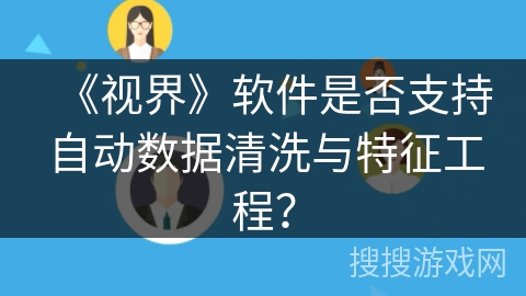 《视界》软件是否支持自动数据清洗与特征工程？