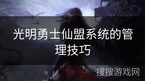 光明勇士仙盟系统的管理技巧