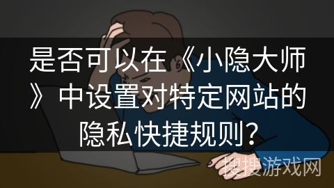 是否可以在《小隐大师》中设置对特定网站的隐私快捷规则？