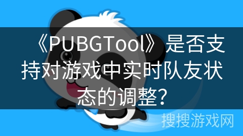 《PUBGTool》是否支持对游戏中实时队友状态的调整？