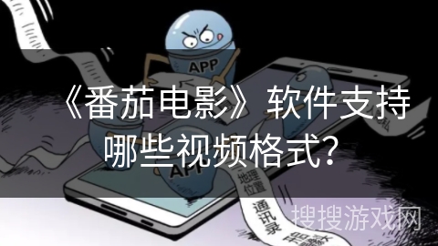 《番茄电影》软件支持哪些视频格式？