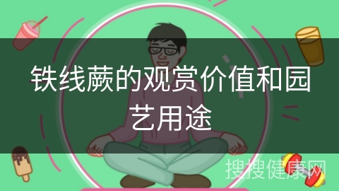 铁线蕨的观赏价值和园艺用途