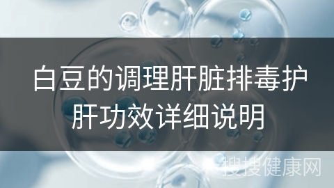 白豆的调理肝脏排毒护肝功效详细说明