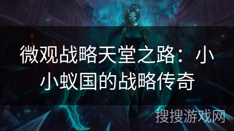 微观战略天堂之路：小小蚁国的战略传奇