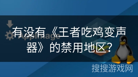 有没有《王者吃鸡变声器》的禁用地区？