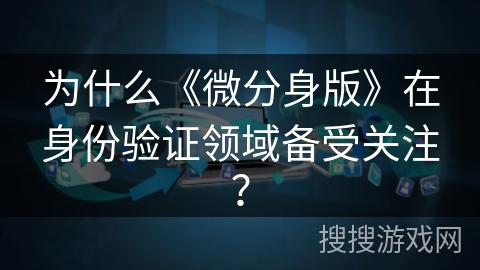 为什么《微分身版》在身份验证领域备受关注？