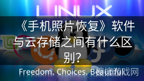 《手机照片恢复》软件与云存储之间有什么区别？