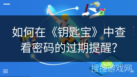 如何在《钥匙宝》中查看密码的过期提醒？