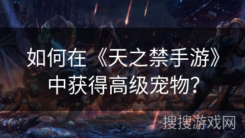 如何在《天之禁手游》中获得高级宠物? 如何在《天之禁手游》中获得高级宠物?