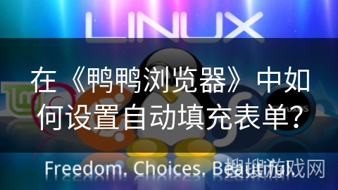 在《鸭鸭浏览器》中如何设置自动填充表单？