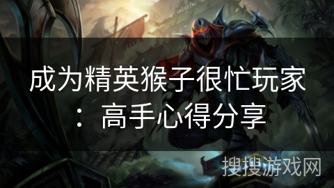 成为精英猴子很忙玩家：高手心得分享