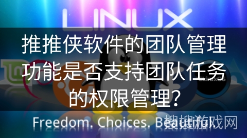 推推侠软件的团队管理功能是否支持团队任务的权限管理? 推推侠软件的团队管理功能是否支持团队任务的权限管理?