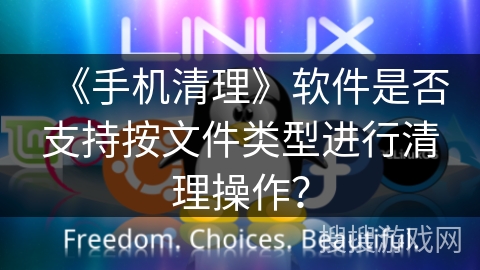 《手机清理》软件是否支持按文件类型进行清理操作？