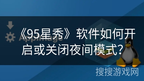 《95星秀》软件如何开启或关闭夜间模式？