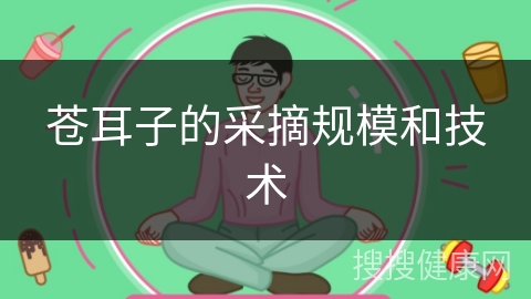 苍耳子的采摘规模和技术