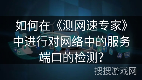 如何在《测网速专家》中进行对网络中的服务端口的检测？