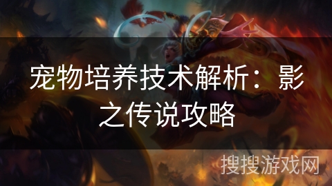 宠物培养技术解析：影之传说攻略