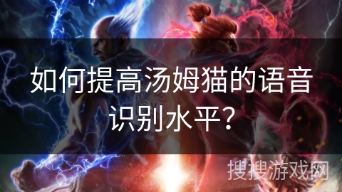 如何提高汤姆猫的语音识别水平？
