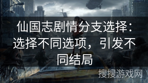 仙国志剧情分支选择：选择不同选项，引发不同结局