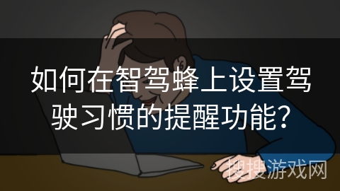 如何在智驾蜂上设置驾驶习惯的提醒功能？