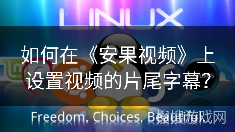 如何在《安果视频》上设置视频的片尾字幕？