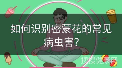 如何识别密蒙花的常见病虫害？