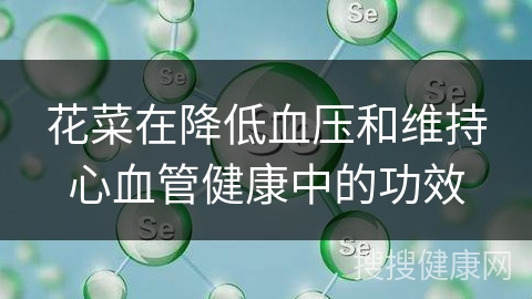 花菜在降低血压和维持心血管健康中的功效