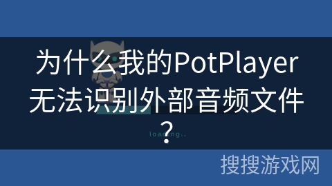 为什么我的PotPlayer无法识别外部音频文件？