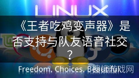 《王者吃鸡变声器》是否支持与队友语音社交？