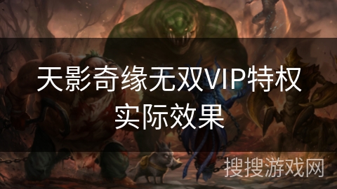 天影奇缘无双VIP特权实际效果