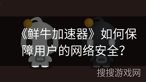 《鲜牛加速器》如何保障用户的网络安全？