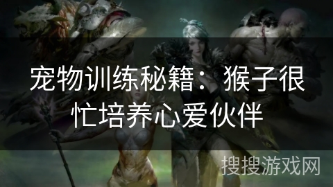 宠物训练秘籍:猴子很忙培养心爱伙伴 宠物训练秘籍:猴子很忙培养心爱伙伴