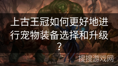 上古王冠如何更好地进行宠物装备选择和升级？