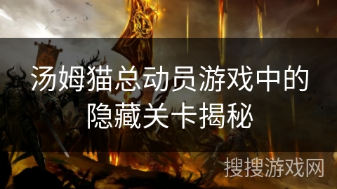 汤姆猫总动员游戏中的隐藏关卡揭秘