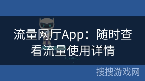 流量网厅App：随时查看流量使用详情