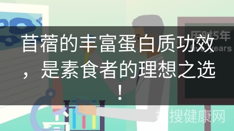 苜蓿的丰富蛋白质功效，是素食者的理想之选！