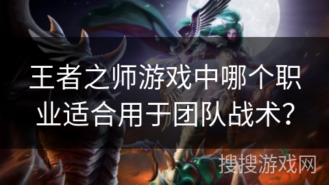 王者之师游戏中哪个职业适合用于团队战术？