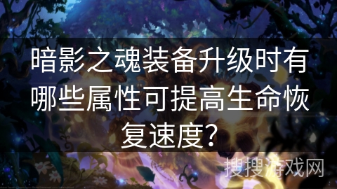 暗影之魂装备升级时有哪些属性可提高生命恢复速度？