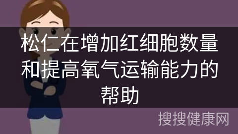 松仁在增加红细胞数量和提高氧气运输能力的帮助