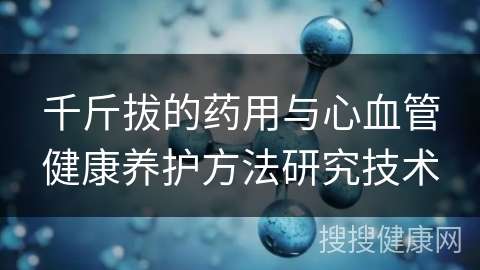 千斤拔的药用与心血管健康养护方法研究技术