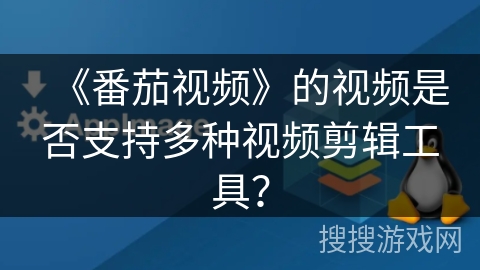 《番茄视频》的视频是否支持多种视频剪辑工具？