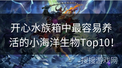 开心水族箱中最容易养活的小海洋生物Top10! 开心水族箱中最容易养活的小海洋生物Top10!