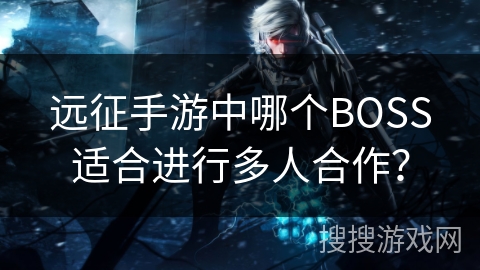 远征手游中哪个BOSS适合进行多人合作？