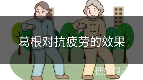 葛根对抗疲劳的效果