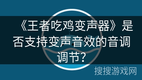 《王者吃鸡变声器》是否支持变声音效的音调调节？