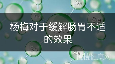 杨梅对于缓解肠胃不适的效果