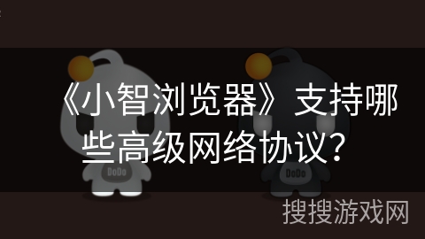 《小智浏览器》支持哪些高级网络协议？